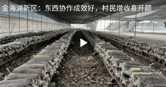 金海湖融媒app最新版