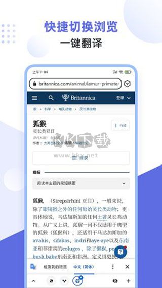 狐猴瀏覽器app安卓版2024最新