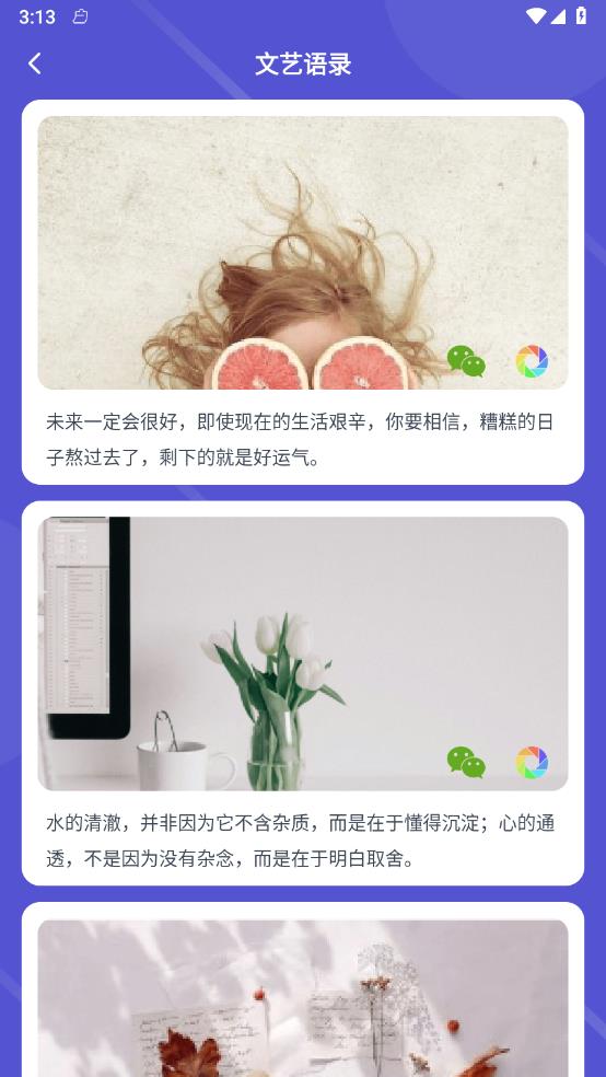 專業(yè)調(diào)音器版