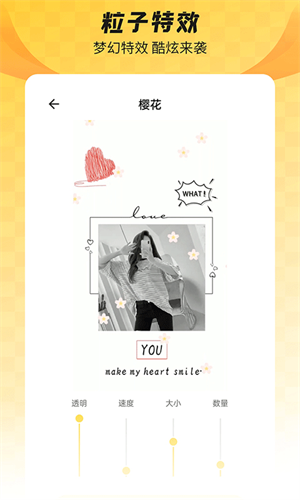 全局透明壁紙應(yīng)用破解版本 v1.6.5