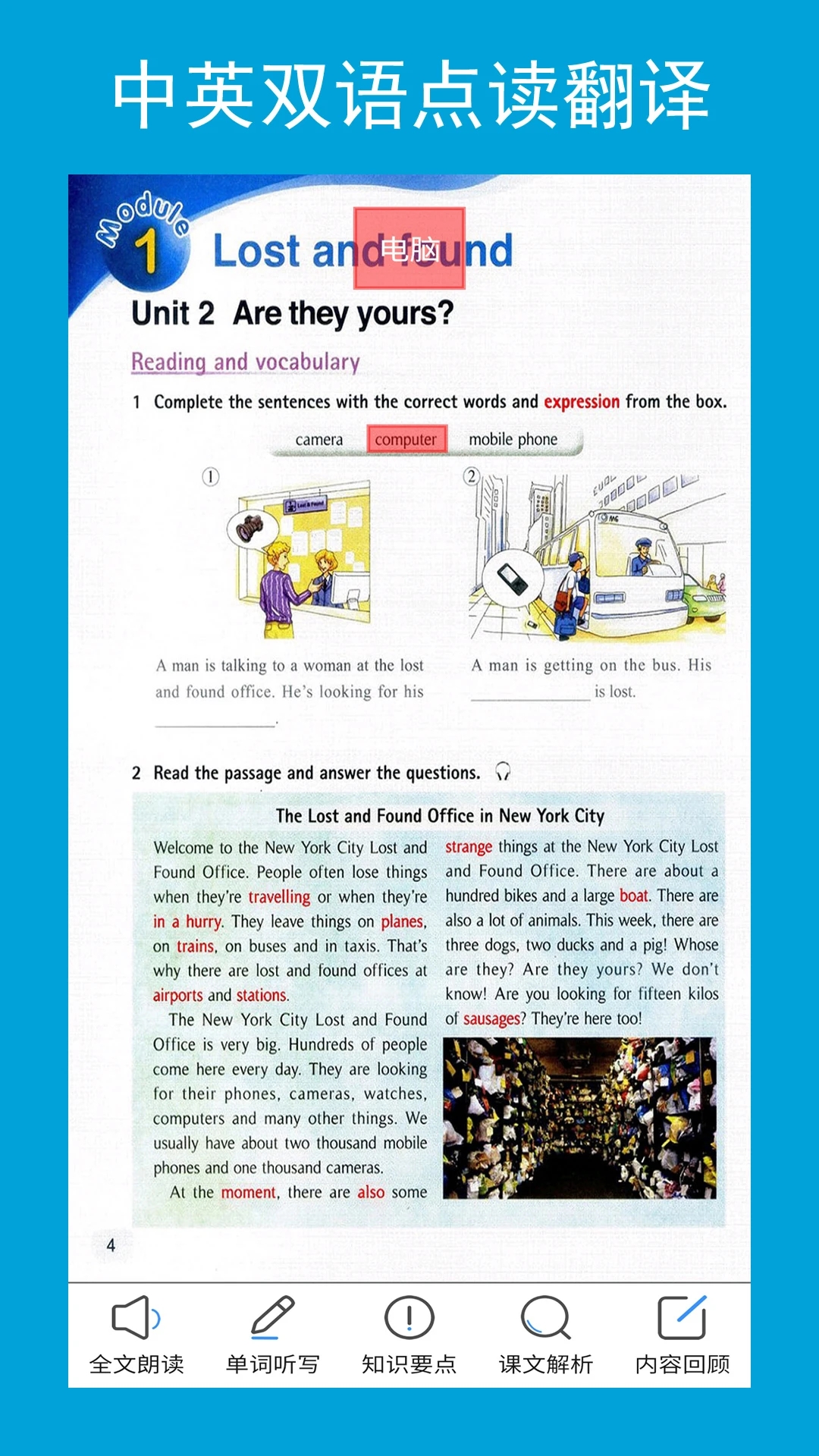 七年級下冊新標(biāo)準(zhǔn)英語官方版App