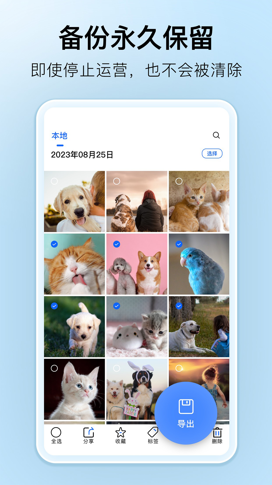 深林集影官方應用版