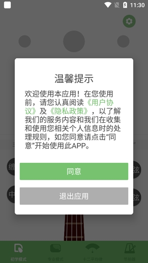 智能琵琶調(diào)音器app官方版