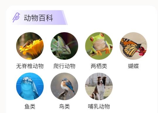 動物識別軟件安卓版