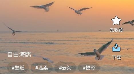 天天桌面壁紙app手機版