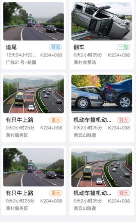 掌路app最新版
