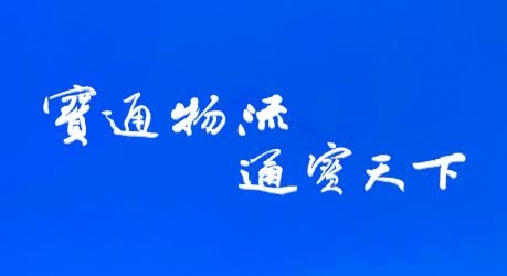 掌上寶通貨主端