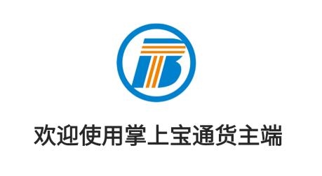 掌上寶通貨主端