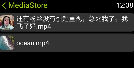 涼腕播放器app手表版