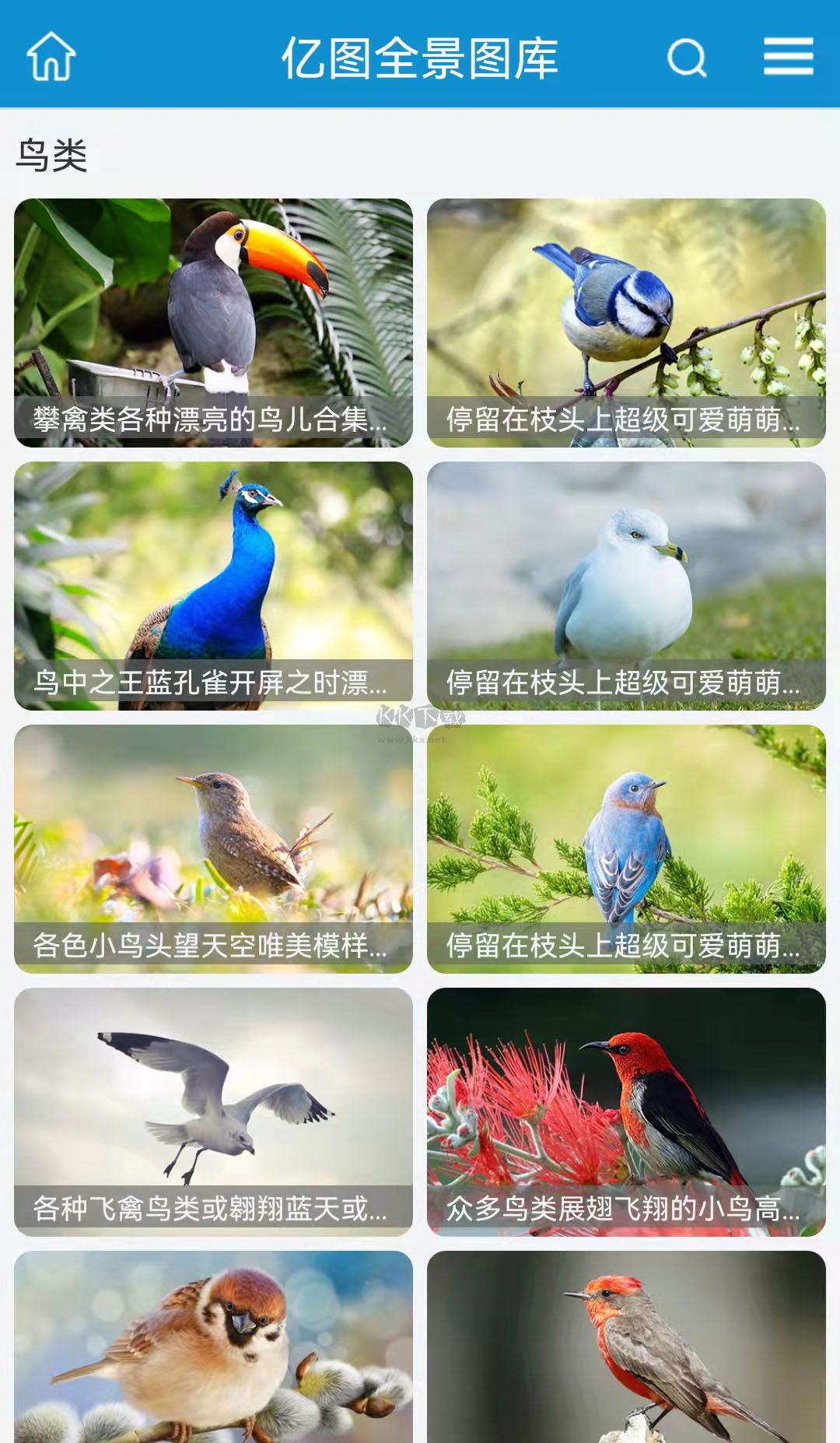億圖app安卓2024最新版