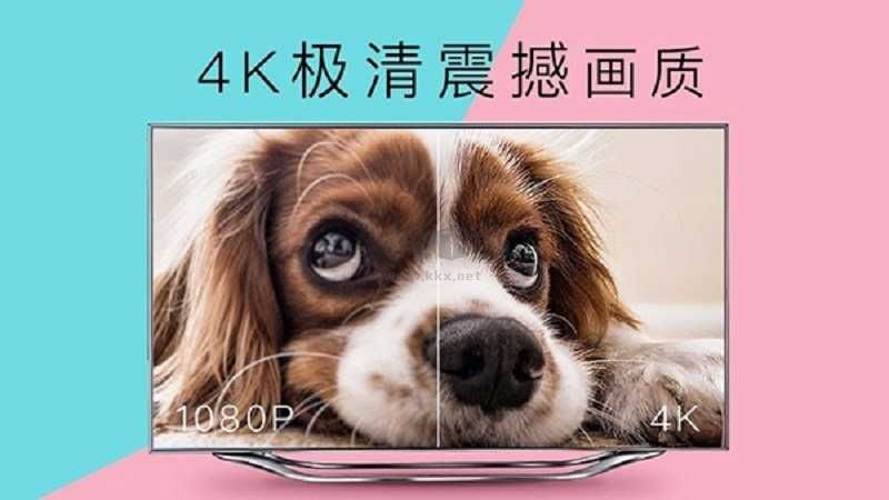 4k花園2024官方版 v3.7.3.5 更新版