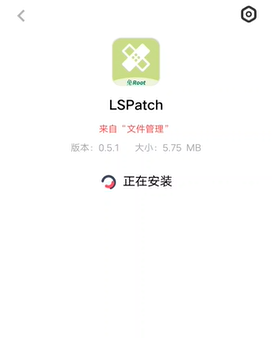 LSPatch模塊庫(kù)軟件