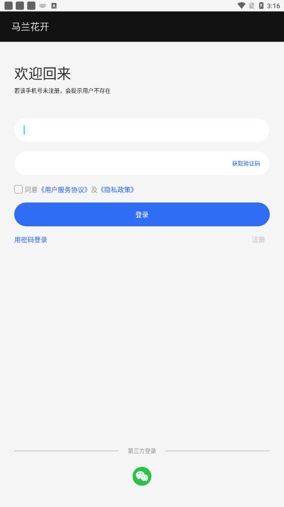 《馬蘭花開最新版本》