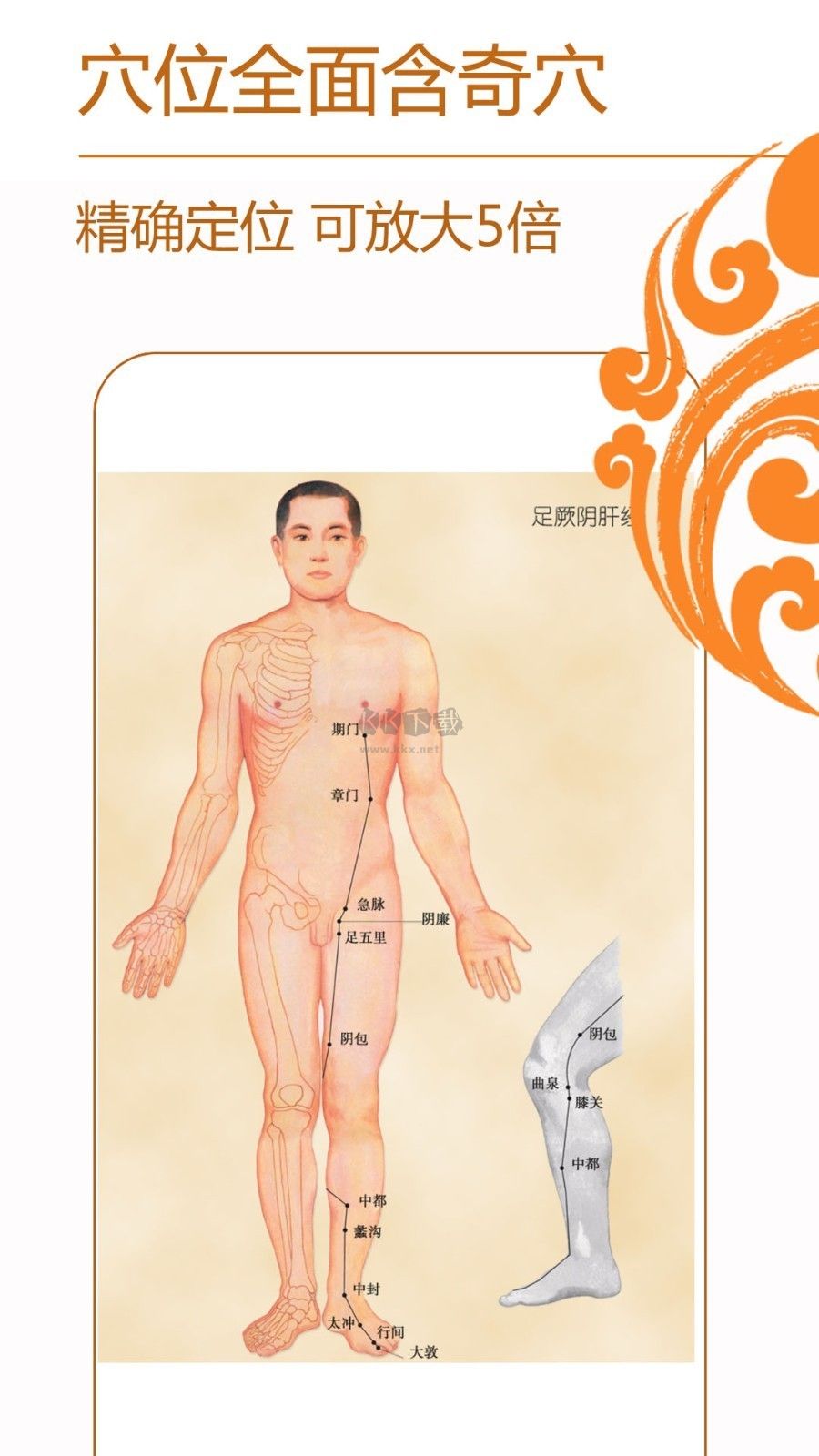 經(jīng)絡(luò)養(yǎng)生應(yīng)用程序 v3.8.6