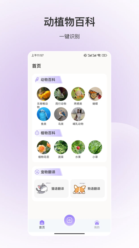 安卓版動物識別應(yīng)用程序