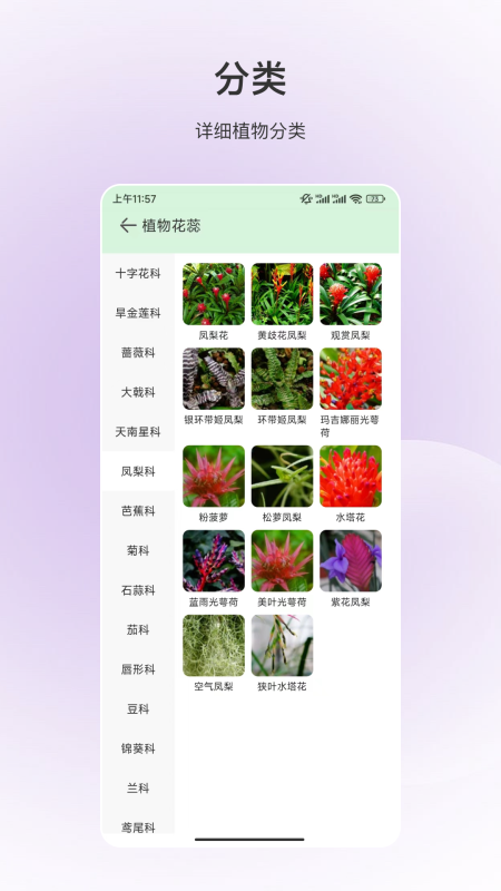 安卓版動物識別應(yīng)用程序