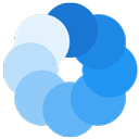Bluecoins 最新破解版 v12.9.2