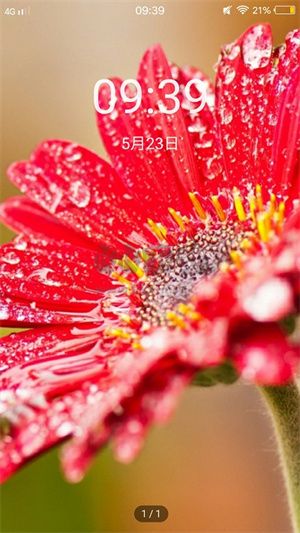 輕甜心壁紙app官網(wǎng)新版 v1.0.5