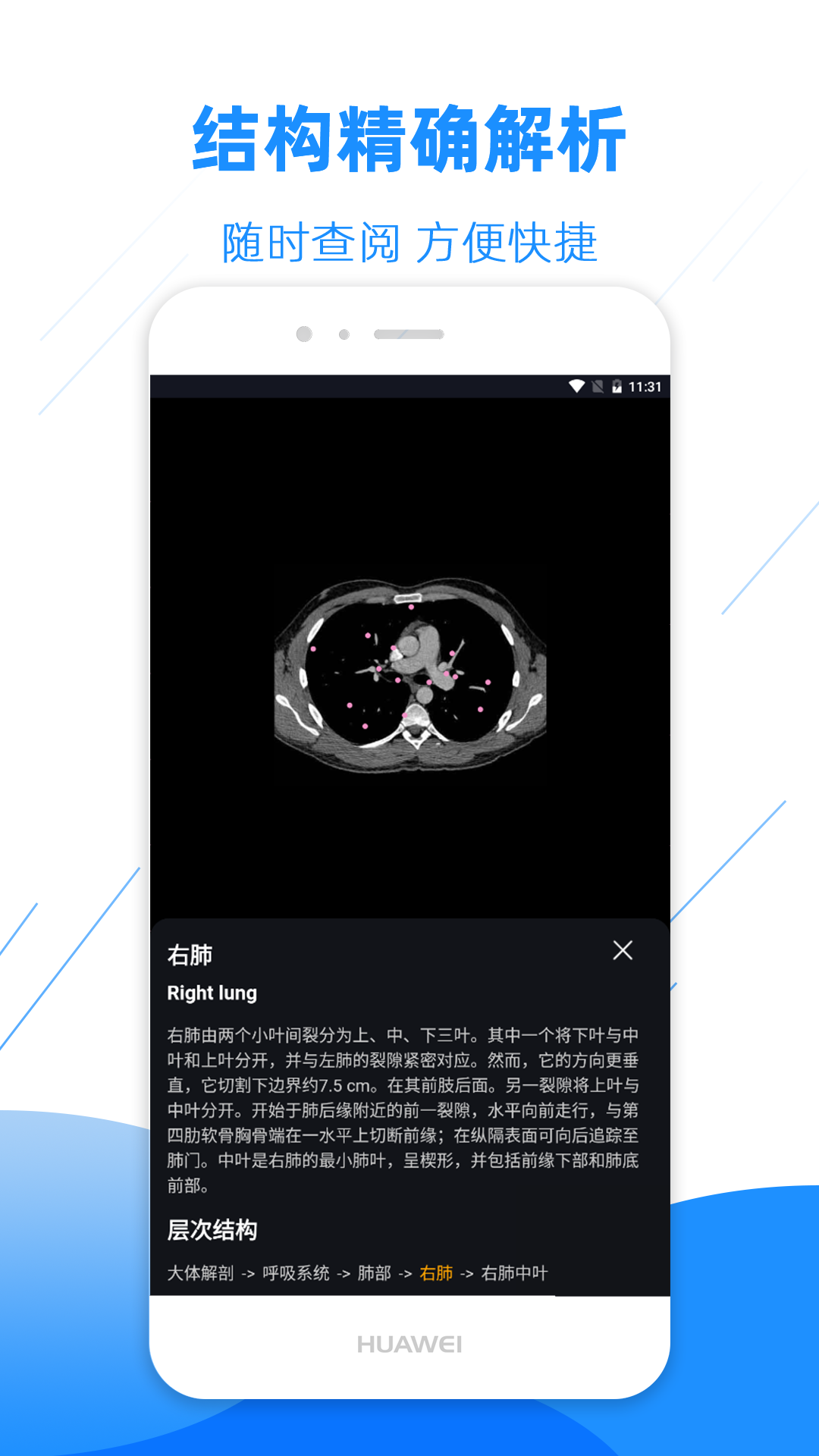 官方版影像解剖圖譜App