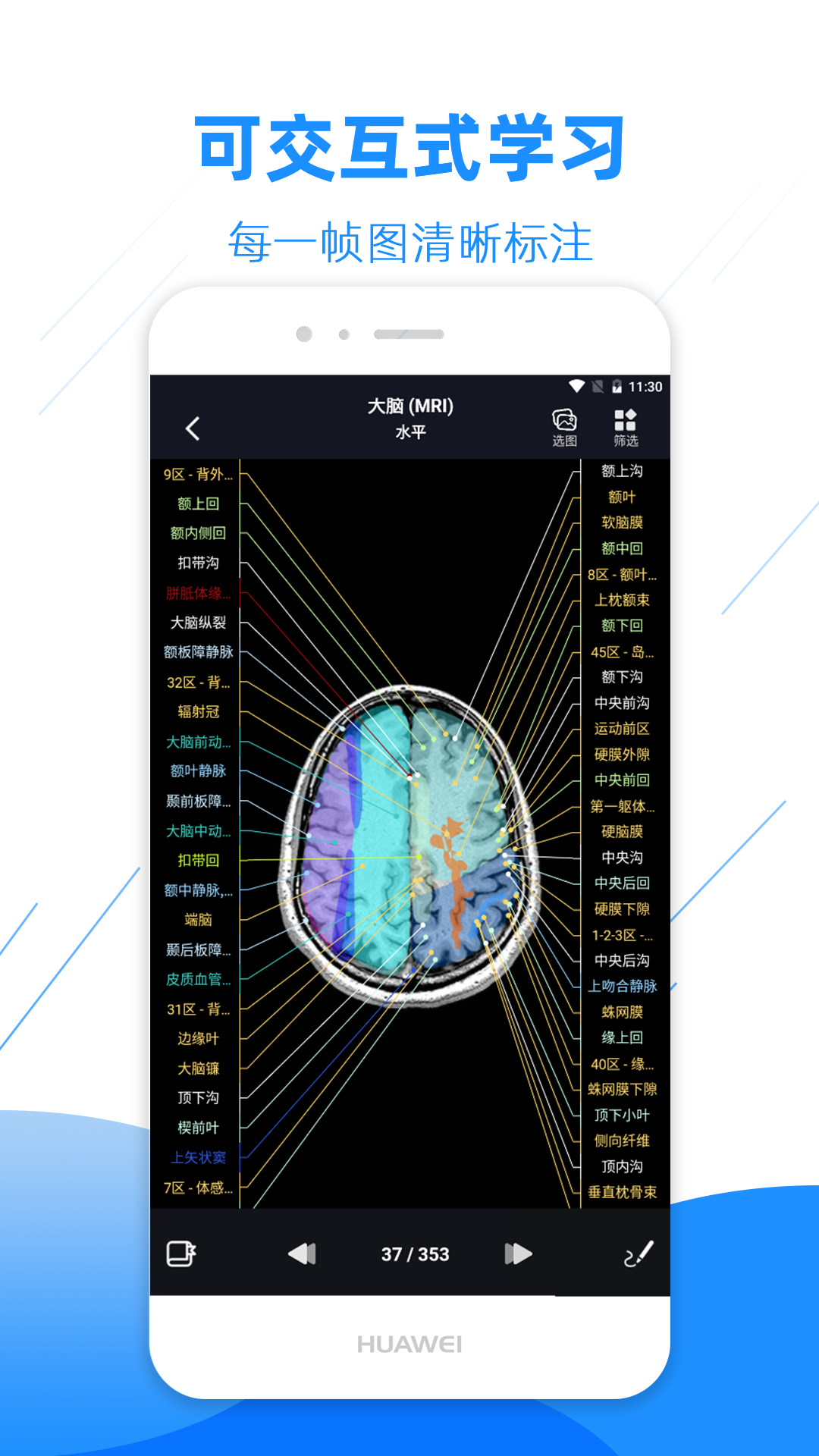 官方版影像解剖圖譜App