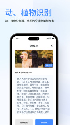 春楓掃描APP Android版