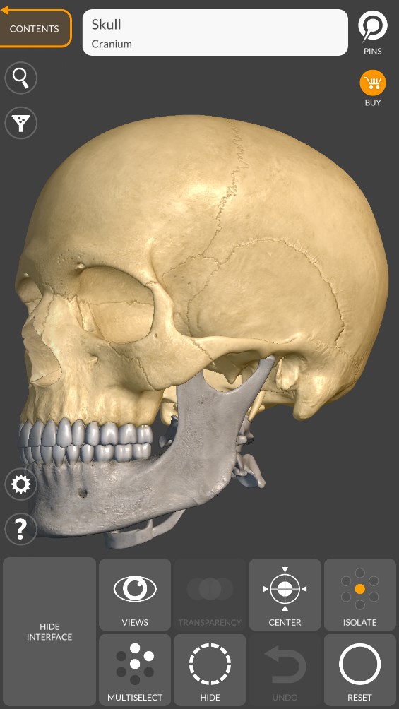 《Art Anatomy：藝術(shù)家3D解剖圖安卓版》