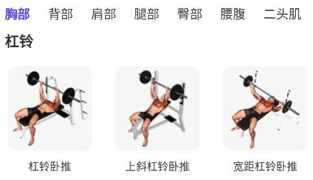 立訓(xùn)app官方版