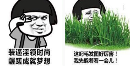 內(nèi)涵斗圖表情包APP官方版