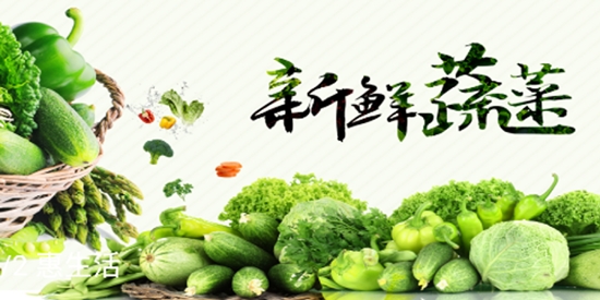 壽光蔬菜app官方版