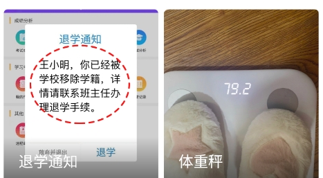 芝麻工具箱app官方版