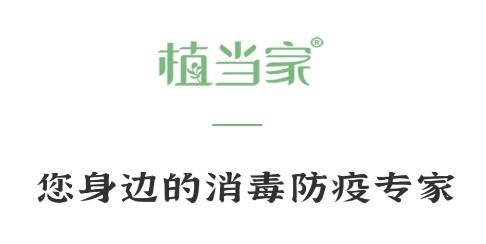 植當家app最新版
