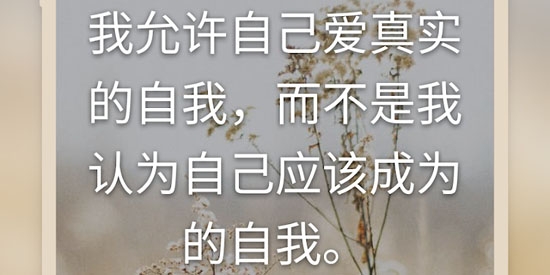 I am最新版
