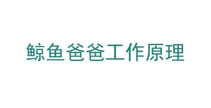 鯨魚爸爸小米專用版