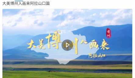 靈秀博州官方版app