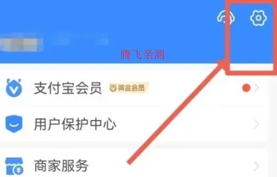 支付寶手表版apk