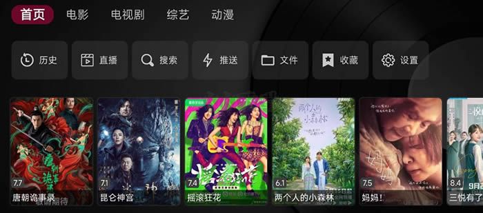 TVBox電視盒子2024最新內置接口版