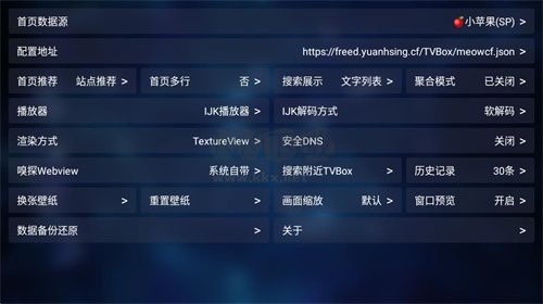 TVBox電視盒子2024最新內置接口版
