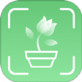 青松奇源APP 1.0.0 版本