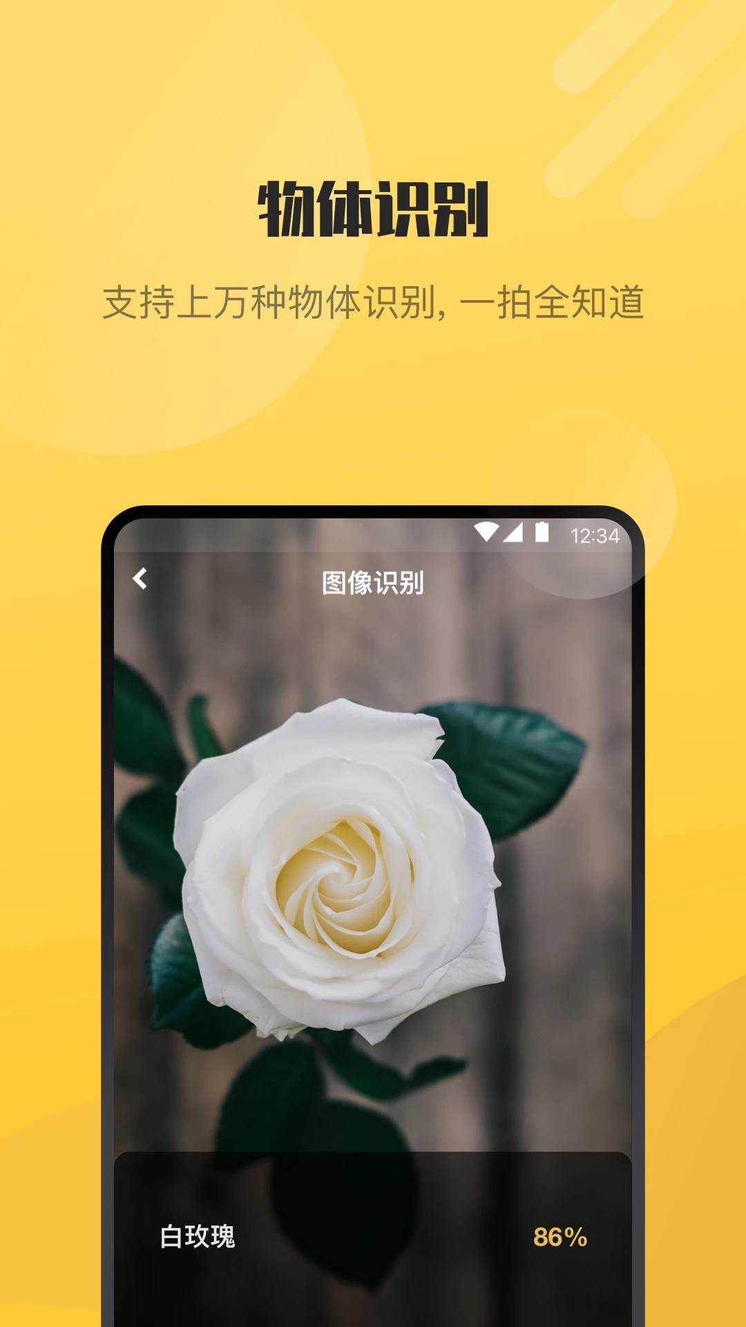 AI識(shí)別應(yīng)用最新版本