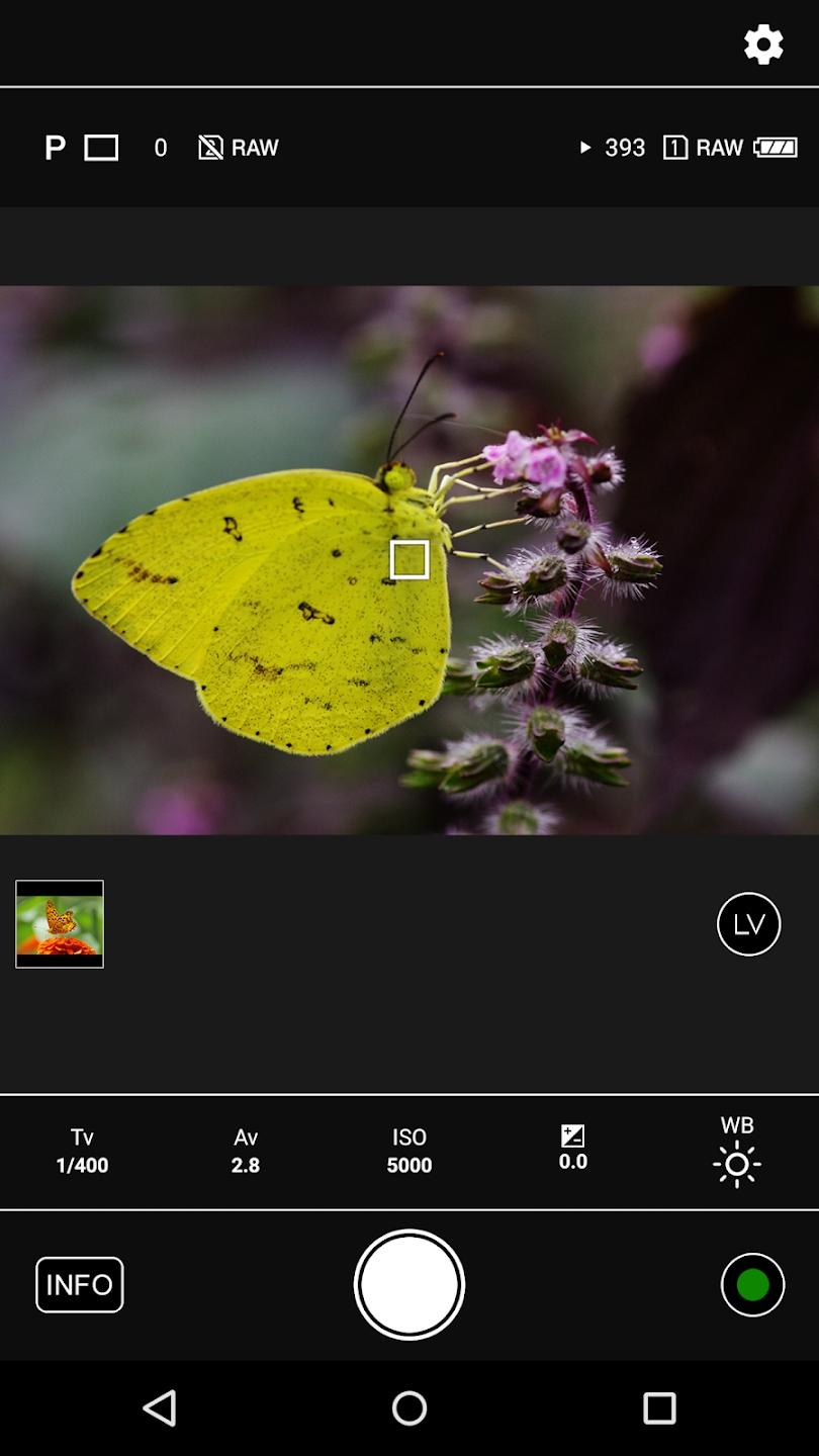 Image Sync 理光官方應用