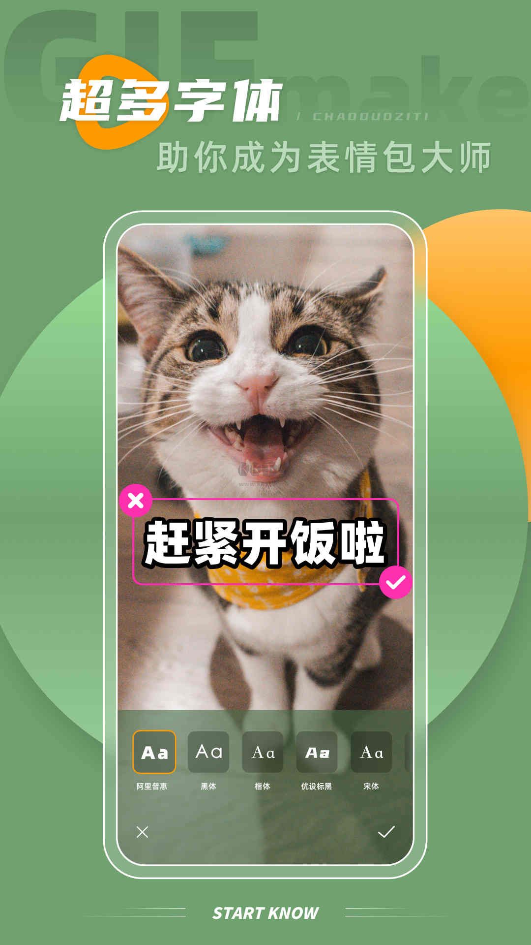 intoLive app 最新官方版本 v1.1.5