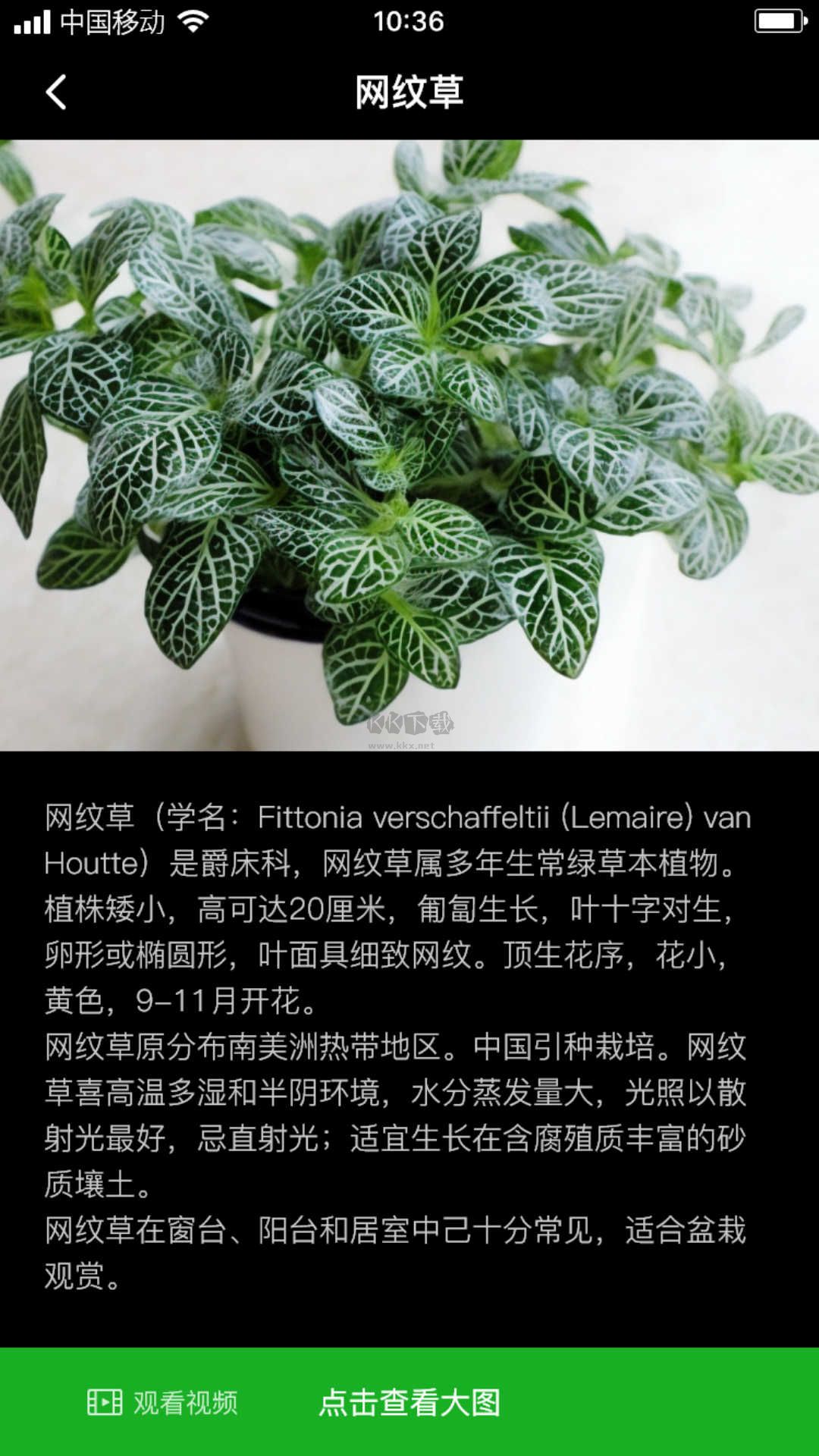 網(wǎng)紋草APP 1.0.1 安卓版