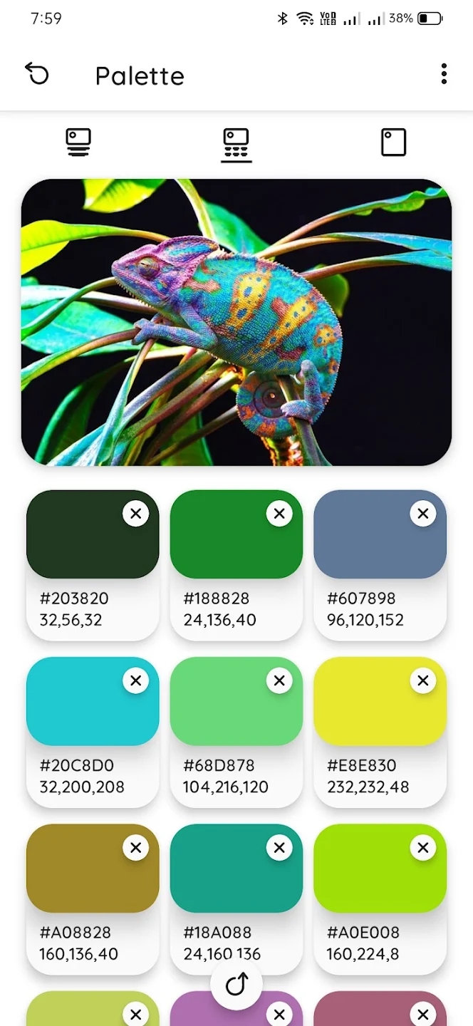 官方版Color Palette色卡