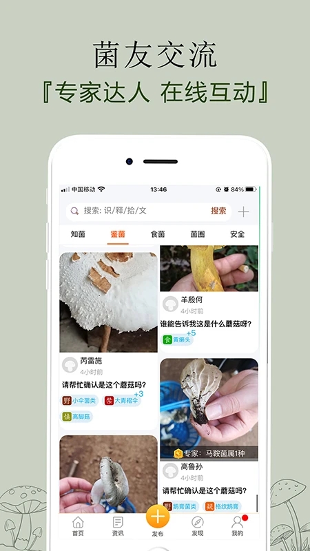 菌窩子蘑菇識別掃描應(yīng)用