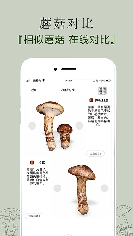菌窩子蘑菇識別掃描應(yīng)用