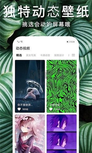 靈貓桌面壁紙App（精美動(dòng)圖）安卓2024版 v1.0.1