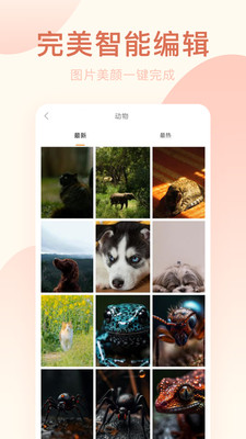 美容相機應用程序
