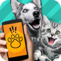 免費(fèi)版狗語翻譯器 v9.3.3