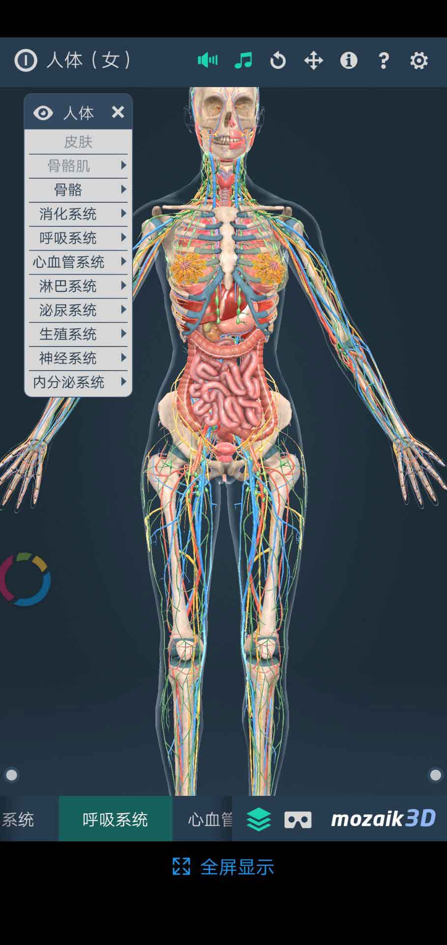 女性人體系統(tǒng)3D官方版