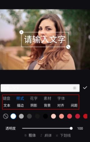 Styler照片修復(fù)軟件免費(fèi)版